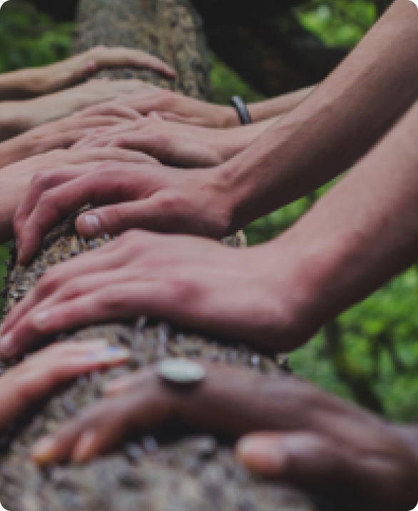 BRIDGING TWO I.T. TEAMS Big